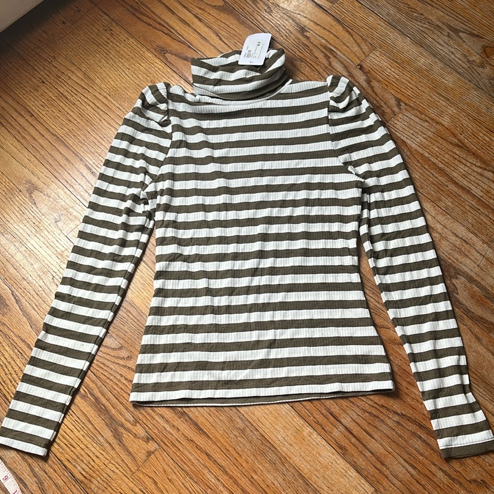 Everlane pierre stripe turtleneck top